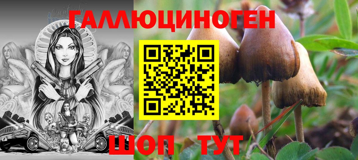Псилоцибиновые грибы прущие грибы  Вход с VPN  Псилоцибиновые грибы мицелий  Назарово 